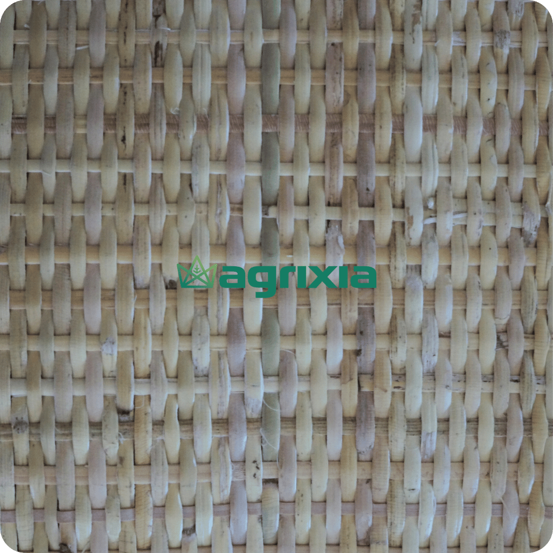 rattan webbing