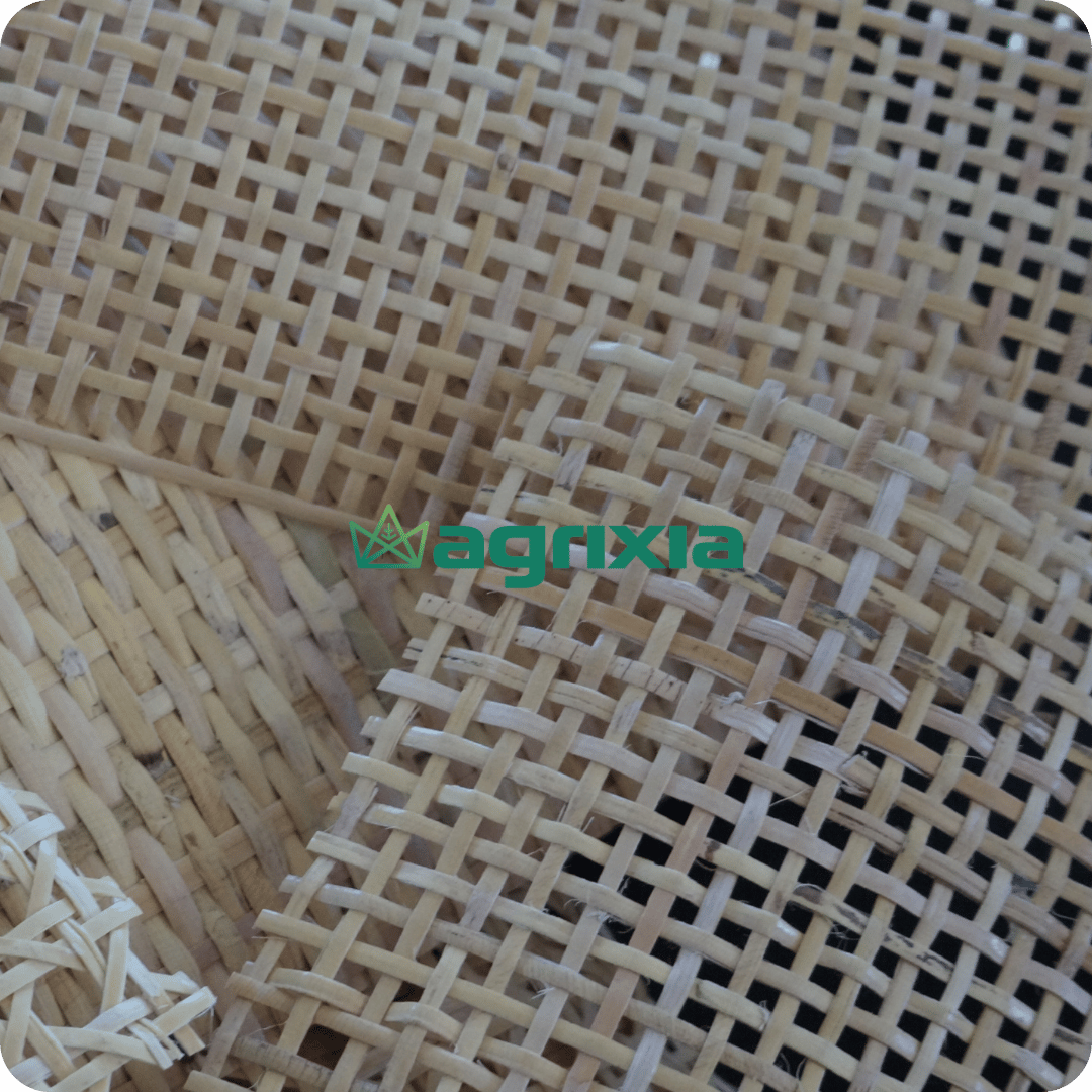 rattan webbing