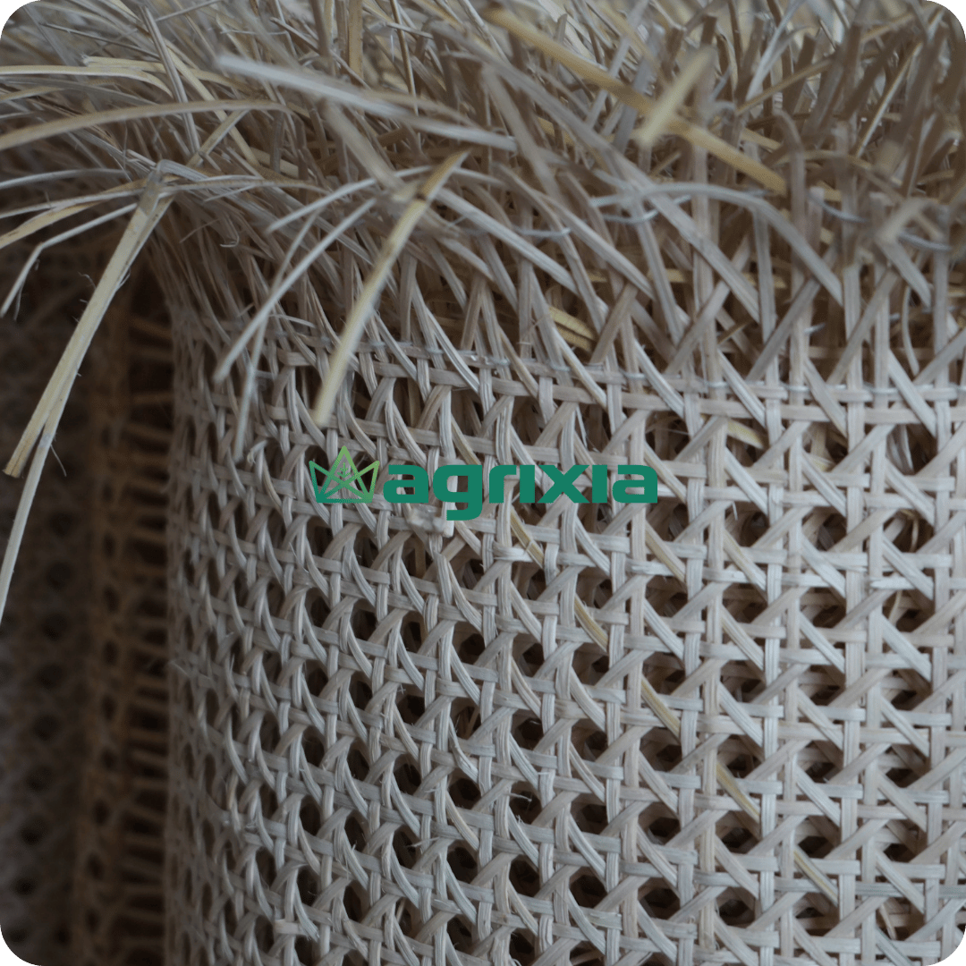 rattan webbing