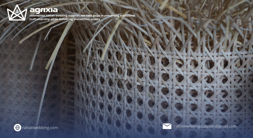 rattan webbing