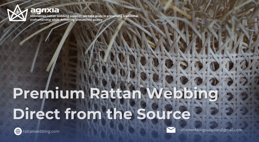 rattan webbing