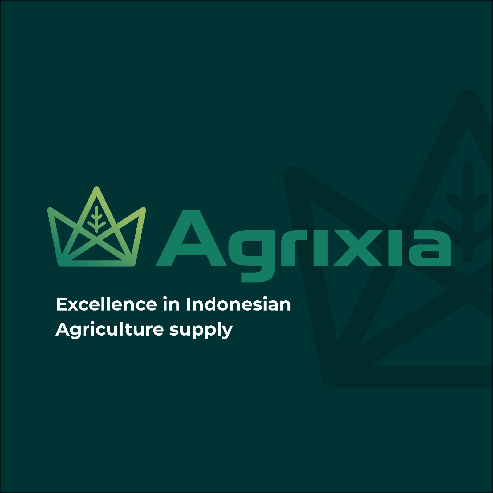 WhatsApp Image 2025-08-19 at 16.27.17